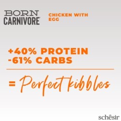 Born Carnivore, karma sucha, dla kotów dorosłych, kurczak z jajkiem, 255 g, worek