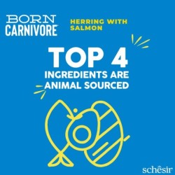 Born Carnivore, karma sucha, dla kotów dorosłych, śledź i łosoś, 255 g, worek