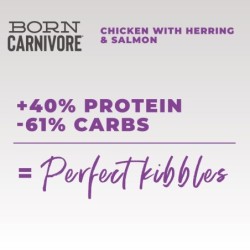 Born Carnivore, karma sucha, dla kotów, kurczak i śledź, 255 g, worek