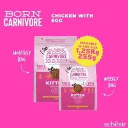 Born Carnivore, karma sucha, dla kociąt, kurczak z jajkiem, 255 g, worek