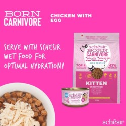 Born Carnivore, karma sucha, dla kociąt, kurczak z jajkiem, 1,25 g, worek