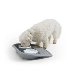 Butler, zestaw 2 misek, dla kota/ małego psa, biała z podstawką, plastik, 2x300ml