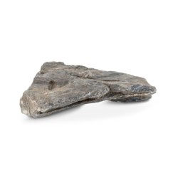 Skałka Skalny szczyt, S:10-20cm