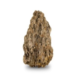 Skałka Smocza skała, M 20-30CM