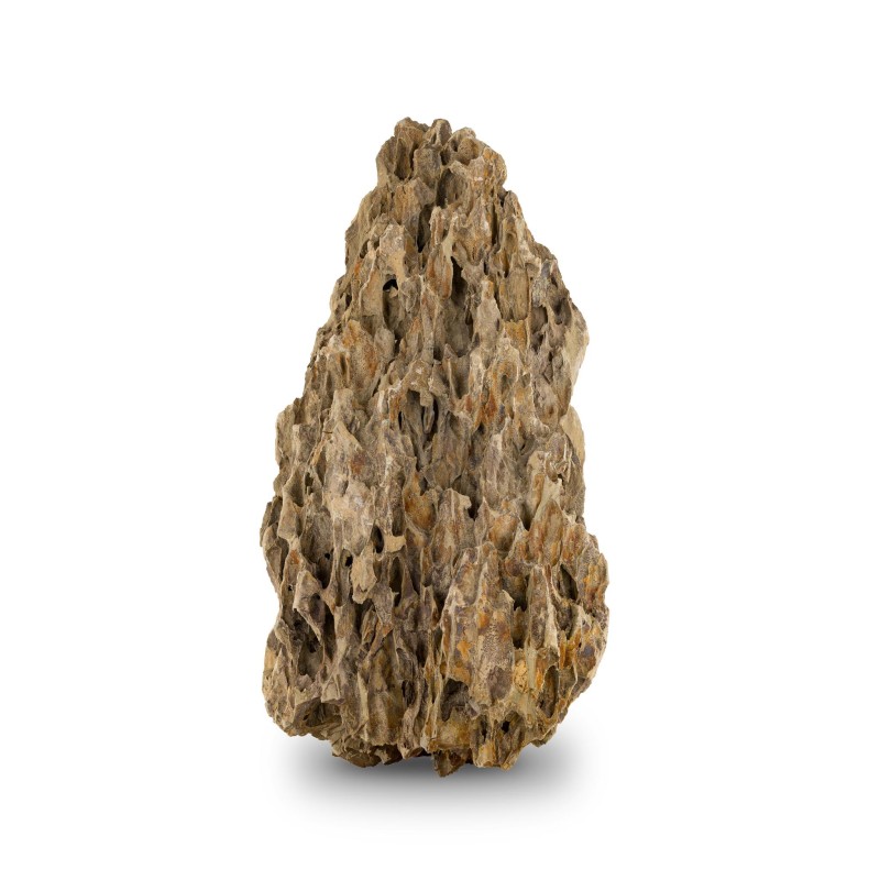 Skałka Smocza skała, M 20-30CM