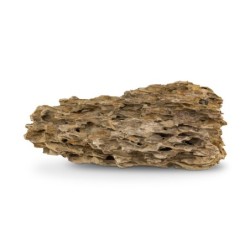 Skałka Smocza skała, M 20-30CM