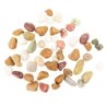 Kamienie polerowane Multicolor Pebble 10-20 mm  do akwarium terrarium 5kg/OPAK