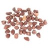 Kamienie polerowane Red  Pebble  20-30 mm  do akwarium terrarium, 5kg/OPAK