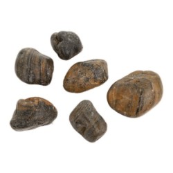 Kamienie polerowane Tiger Pebble   30-50 mm  do akwarium terrarium 10 kg/OPAK
