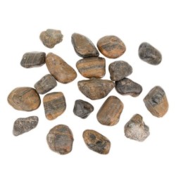 Kamienie polerowane Tiger Pebble   30-50 mm  do akwarium terrarium 10 kg/OPAK
