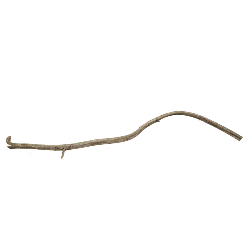 Korzeń Rattanowy 20-40 cm