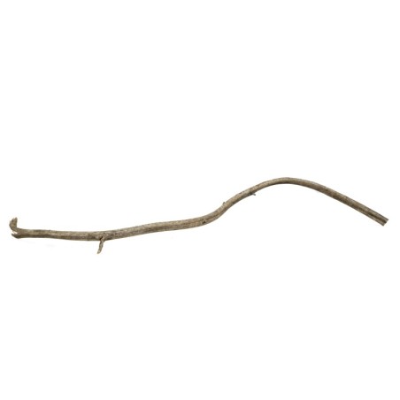 Korzeń Rattanowy 20-40 cm