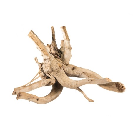 Korzeń bagienny M-L  RED MOOR 10-50cm