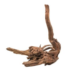 Korzeń Malaysian, 80 - 120 cm