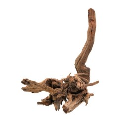 Korzeń Malaysian, 80 - 120 cm