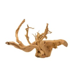 Korzeń bagienny, MIX, 60 - 120 cm