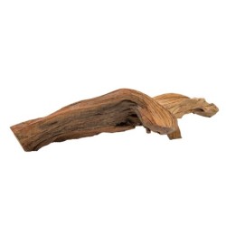 Drewno łukowe 30-50cm