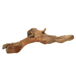 Drewno łukowe 30-50cm