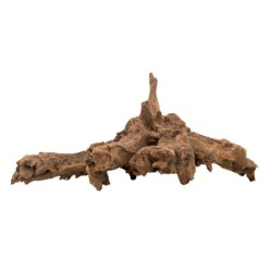 Drewno koralowe, duże,  80 - 100 cm