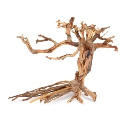 Tonące drzewo Bonsai nr 14 25x20