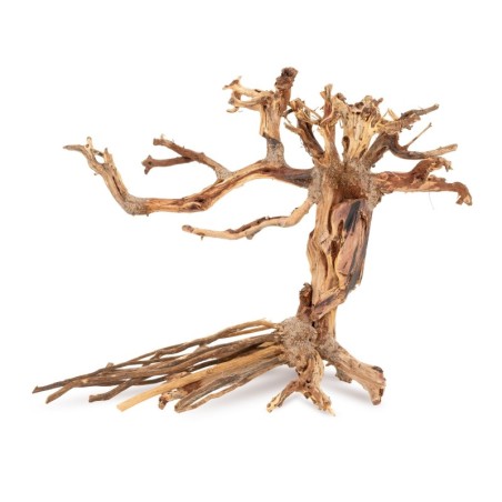 Tonące drzewo Bonsai nr 14 40x30