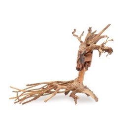 Tonące drzewo Bonsai nr 14 40x30