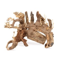 Tonące drzewo Bonsai nr 50 45x30