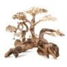 Tonące drzewo Bonsai nr 59 75x45