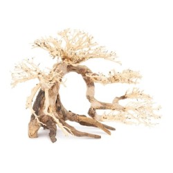 Tonące drzewo Bonsai nr 63 60x40