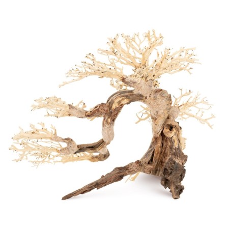 Tonące drzewo Bonsai nr 63 75x45