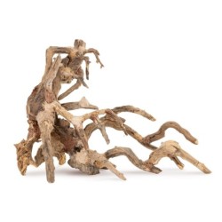 Tonące drzewo Bonsai nr 64 50x40