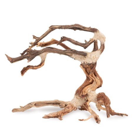 Tonące drzewo Bonsai nr nr 24 25x20