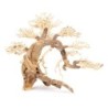 Tonące drzewo Bonsai nr 13  50x40