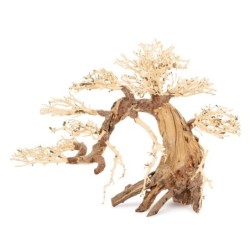 Tonące drzewo Bonsai nr 13  50x40