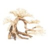Tonące drzewo Bonsai nr 63 80x50