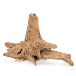 Drewno Dono woods  do akwarium / terrarium