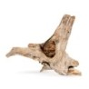 Drewno Dono woods  do akwarium / terrarium