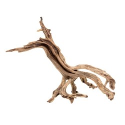 Drewno Dono woods  do akwarium / terrarium