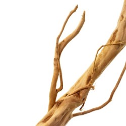 Drewno Antler Wood Branch Mix Rozmiarów