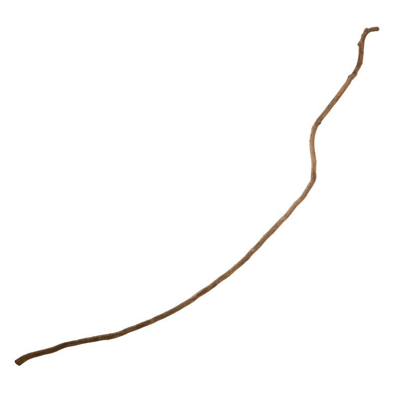 Drewno Mountain Tree and Vine Mix Rozmiarów