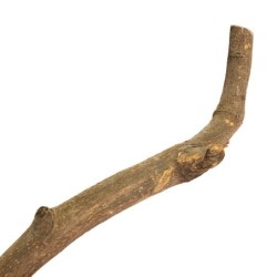 Drewno Mountain Tree and Vine Mix Rozmiarów