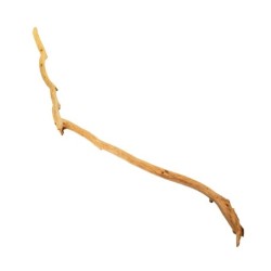 Drewno Rhododendron Tree do 200 cm