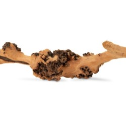 Drewno Sava Wood, 20-70 cm