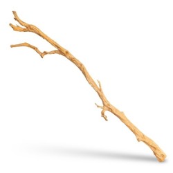 Gałąź drewniana Lelei do 200 cm