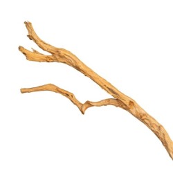 Gałąź drewniana Lelei do 200 cm