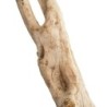 Korzeń Twist Wood Root 50-200 cm
