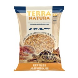 PODŁOŻE DO TERRARIUM OLSZYNA - S