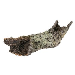 Dekoracja do terrarium  tuby i płaty korkowe L-XL (kraj pochodzenia Portugalia), 1kg