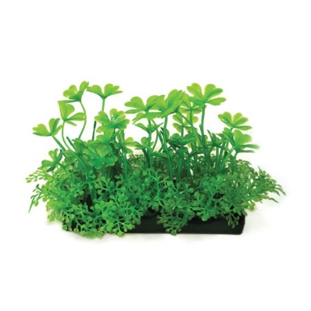 Aqua Natura,  roślina, do dekoracji akwarium, zielona, plastikowa, 10 cm , koniczyna