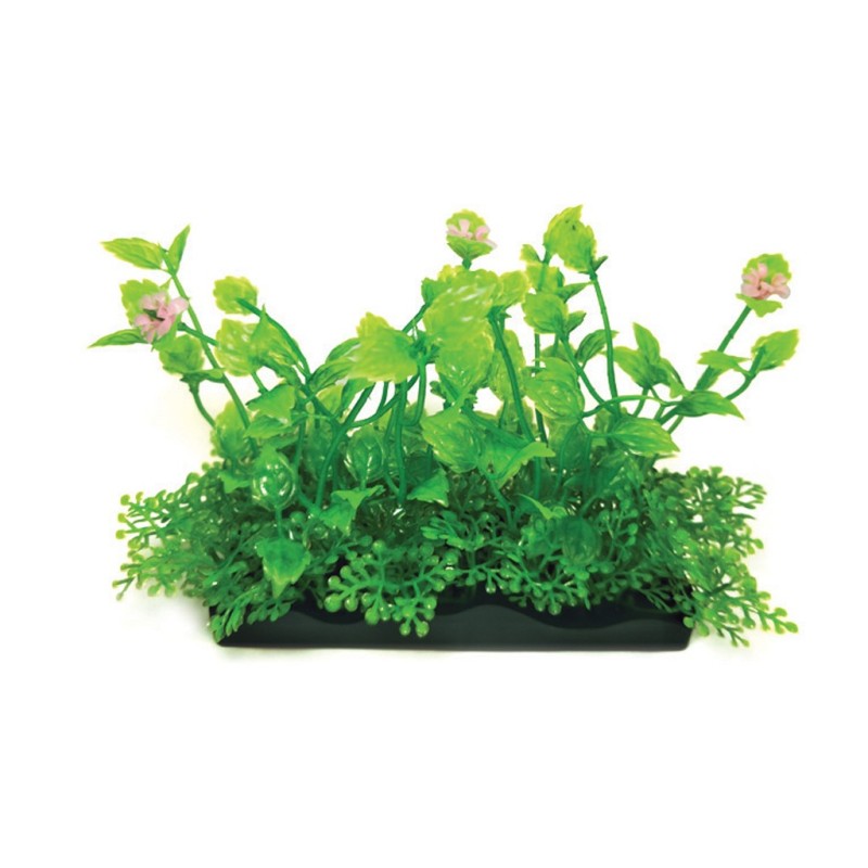 Aqua Natura,  roślina, do dekoracji akwarium, zielona, plastikowa, 10 cm , żółtawe liście